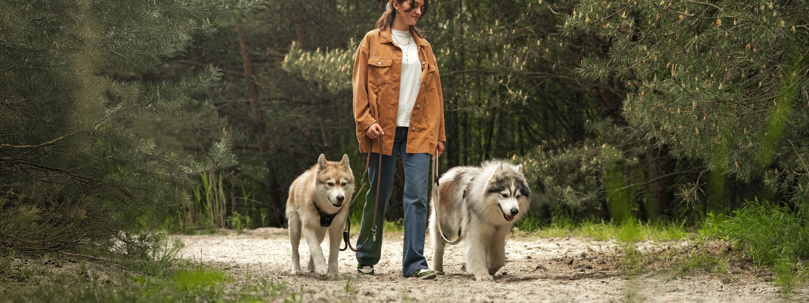 Spaziergänge mit Stil: Must-Have Ausstattung für Hunde