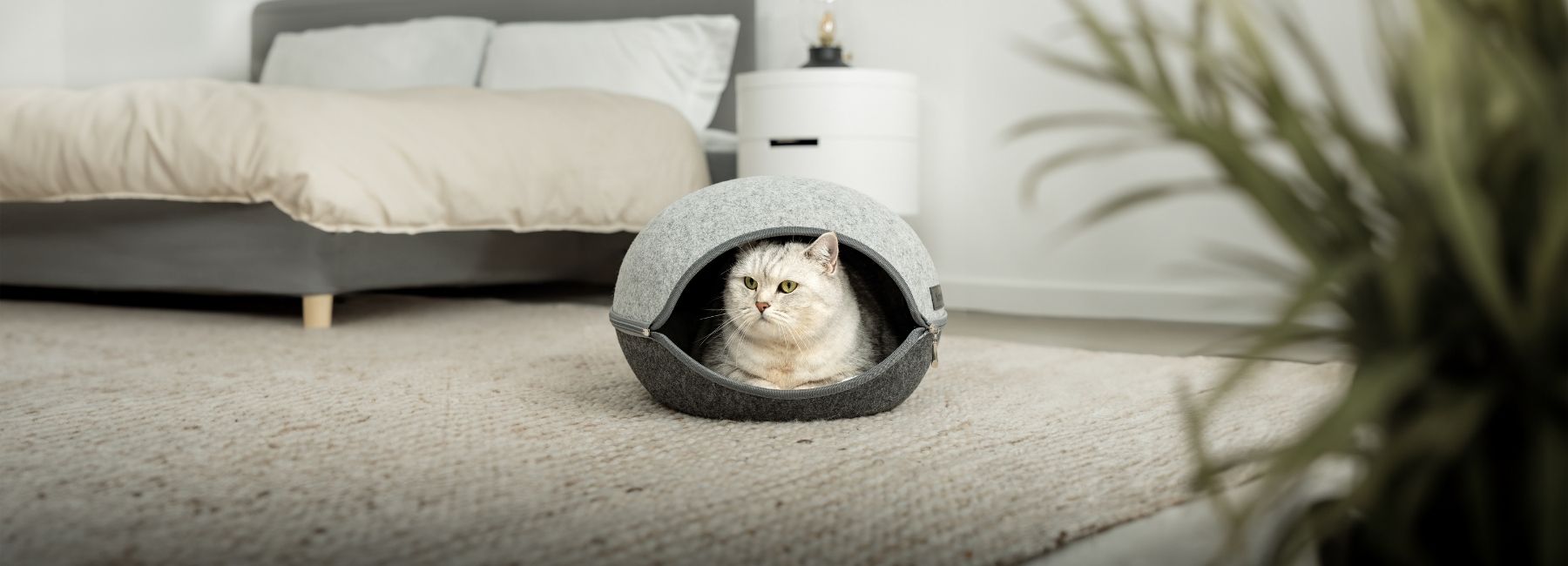 Katze liegt in Katzenhöhle und beobachtet