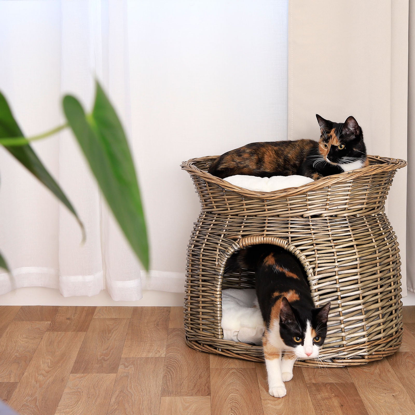 Weidenkorb für Katzen
