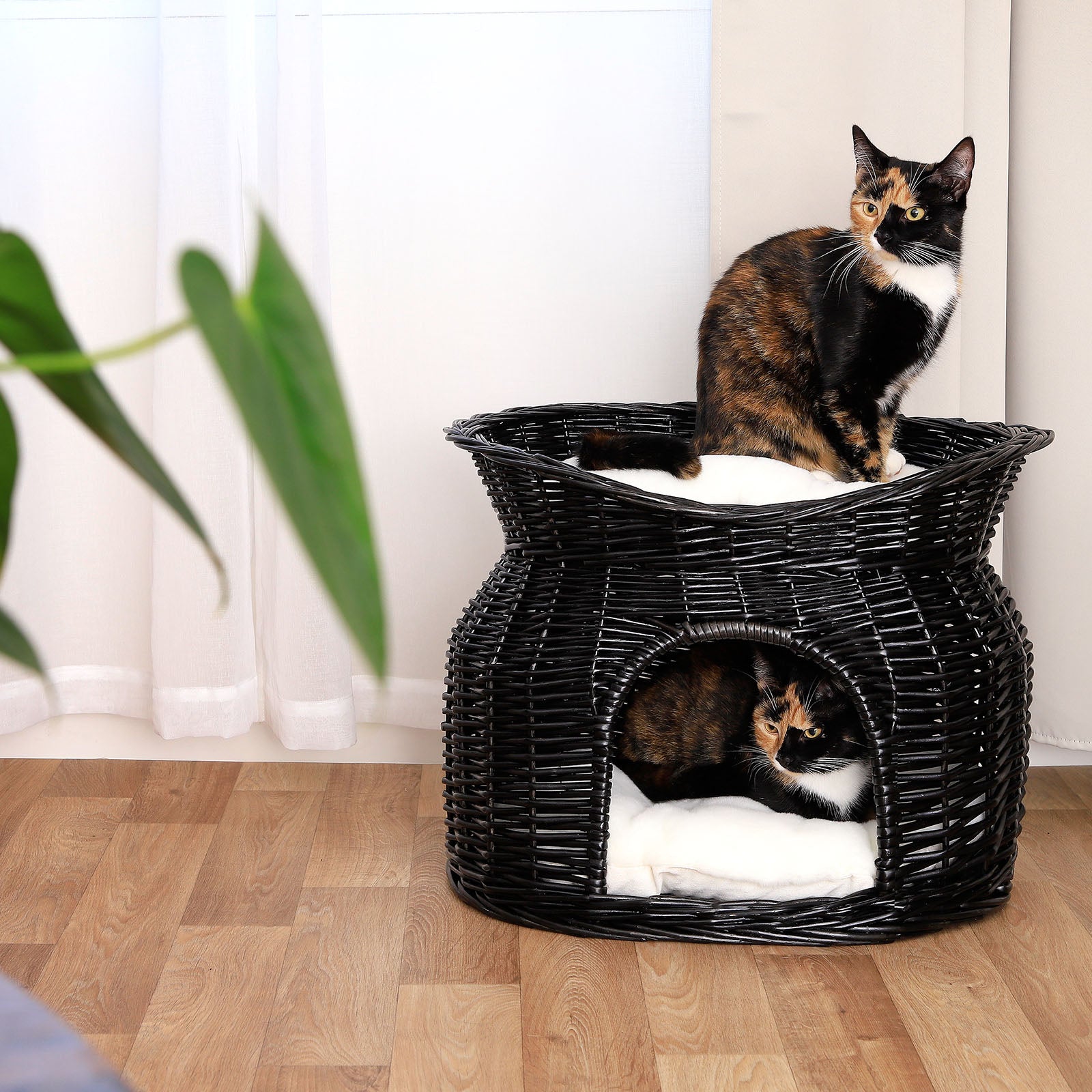 Weidenkorb für Katzen