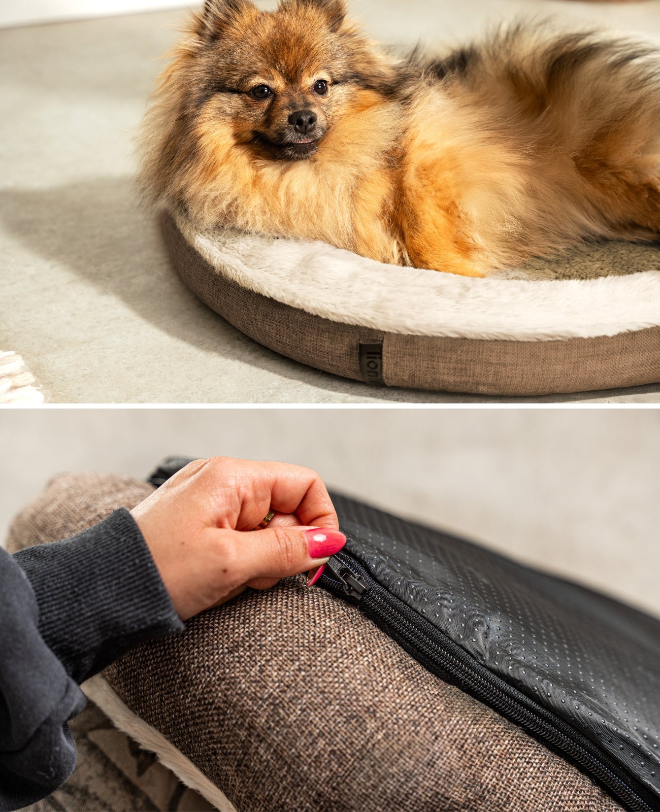 Rundes Hundebett in Donutform