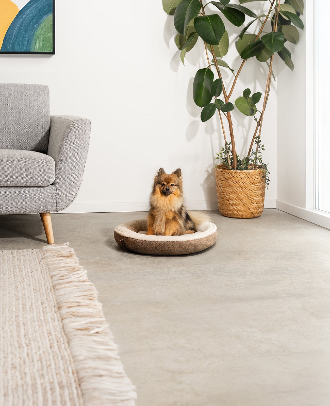 Rundes Hundebett in Donutform