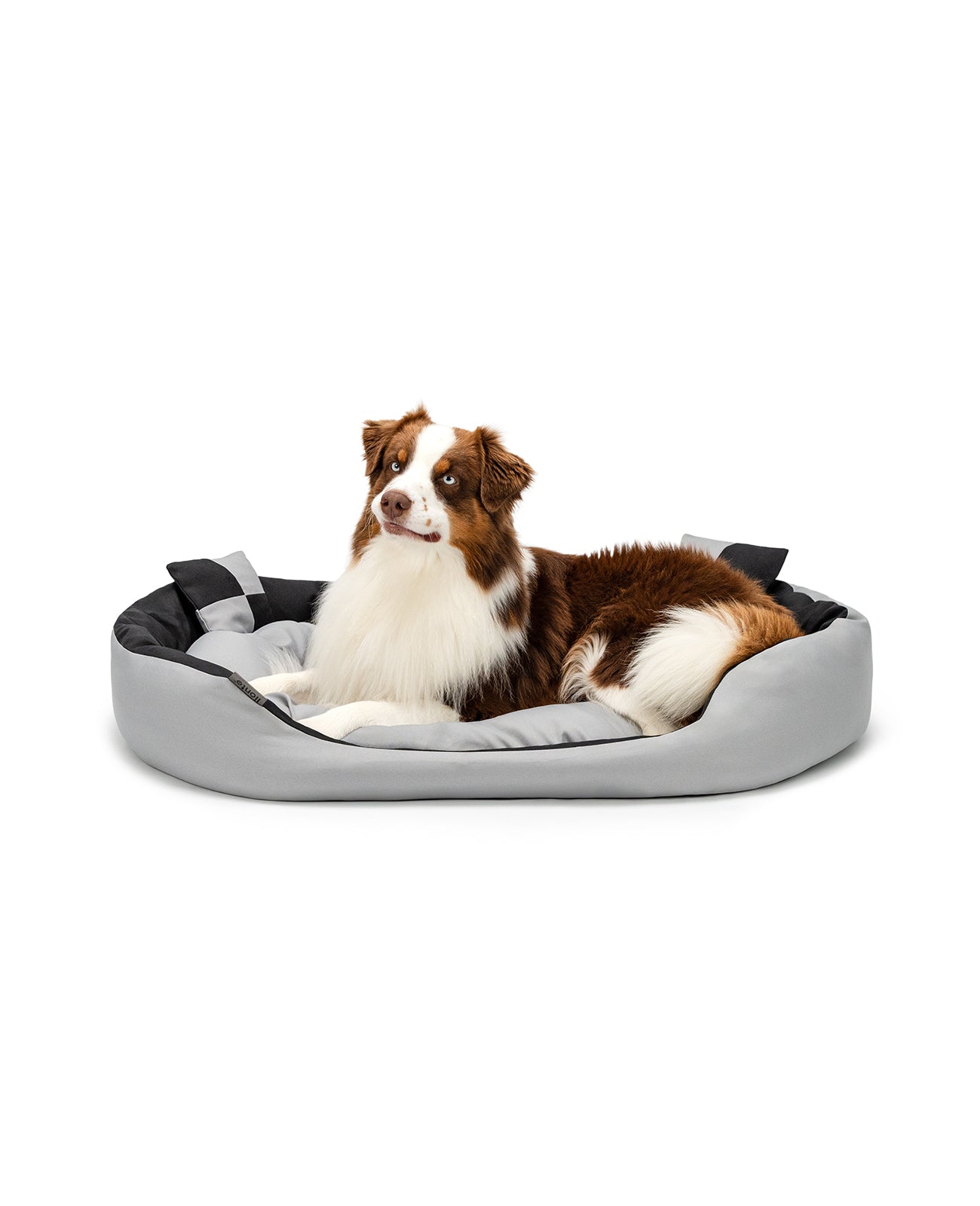 Border Collie liegt in Hundebett aus Oxfordgewebe mit Wendekissen in grau/schwarz