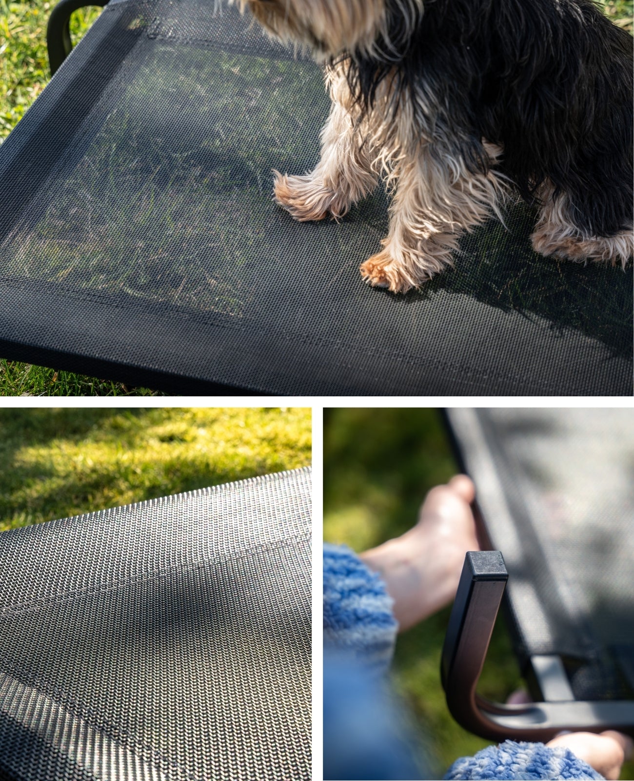 Erhöhte Hundeliege für Haus und Garten