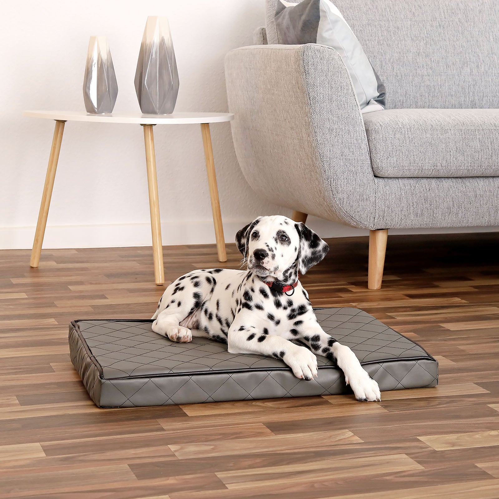 Orthopädische Hundematte