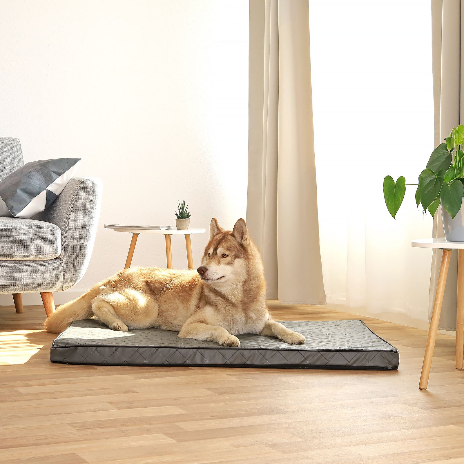 Orthopädische Hundematte