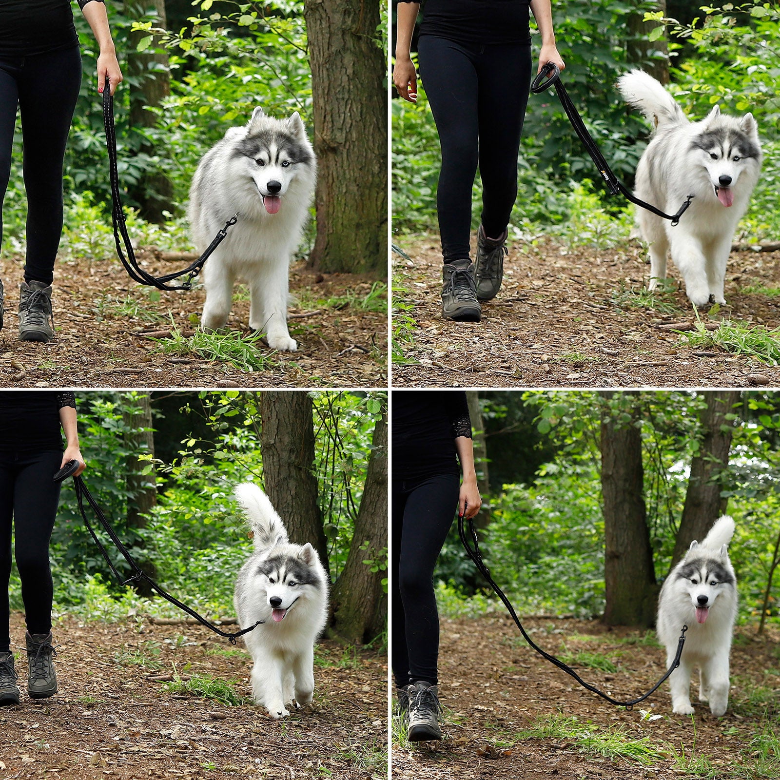 Frau geht mit Husky mit Hundeleine in vier verschiedenen Längen im Wald spazieren