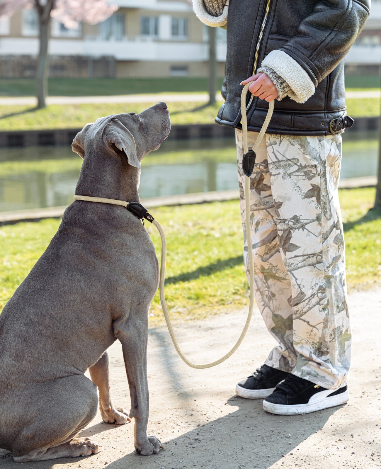 Hundeleine mit Zugstopp