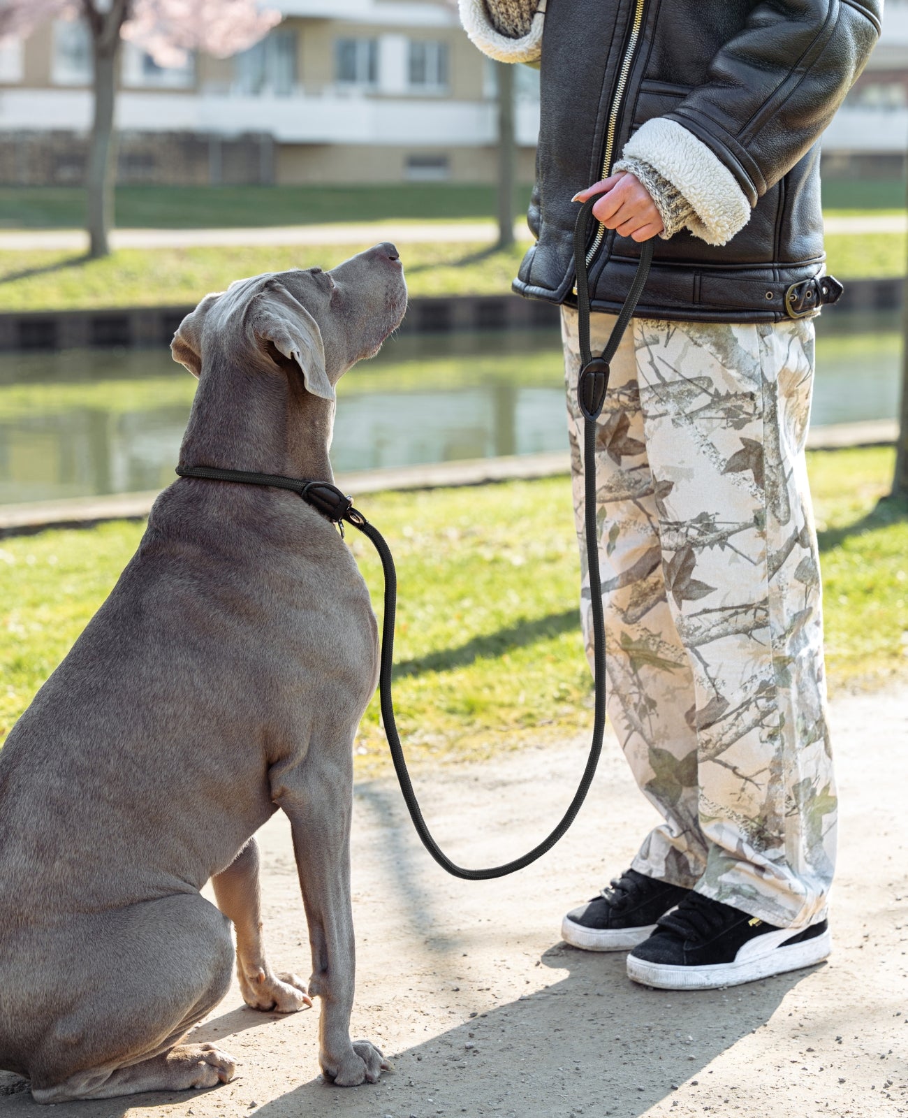 Hundeleine mit Zugstopp