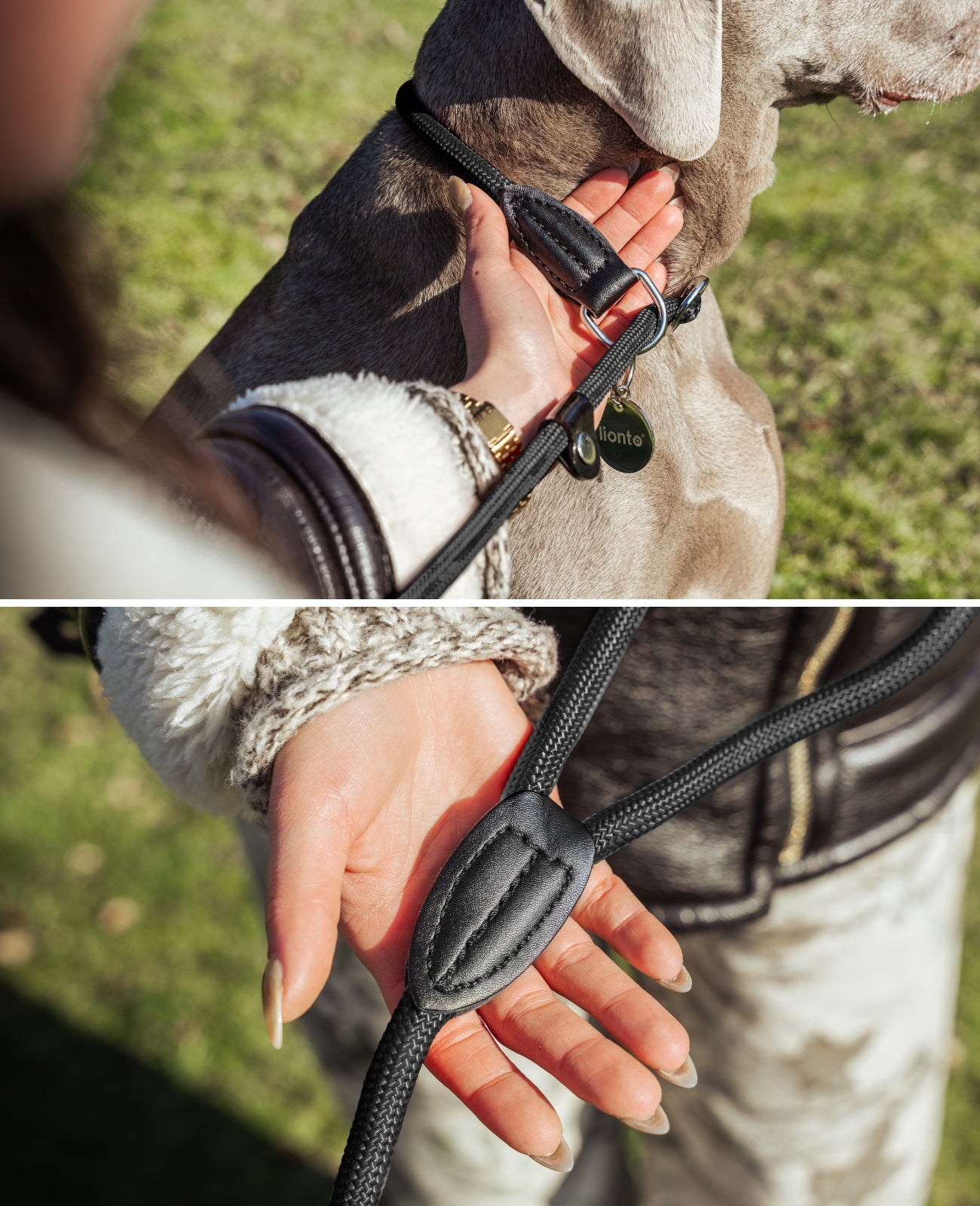 Hundeleine mit Zugstopp