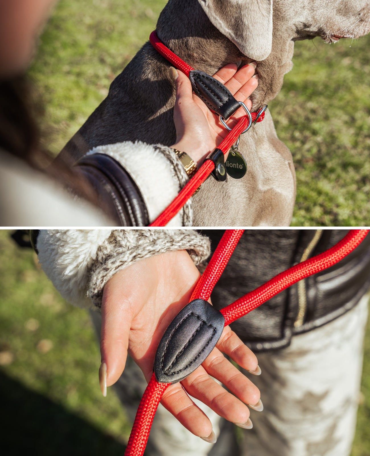 Hundeleine mit Zugstopp