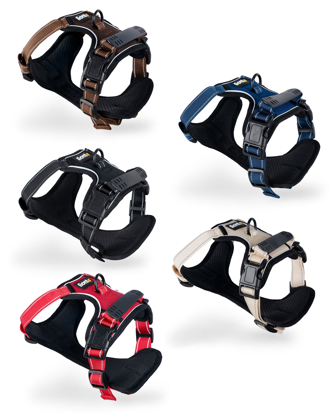 gepolstertes hundegeschirr in fünf verschiedenen Farben aufgereiht