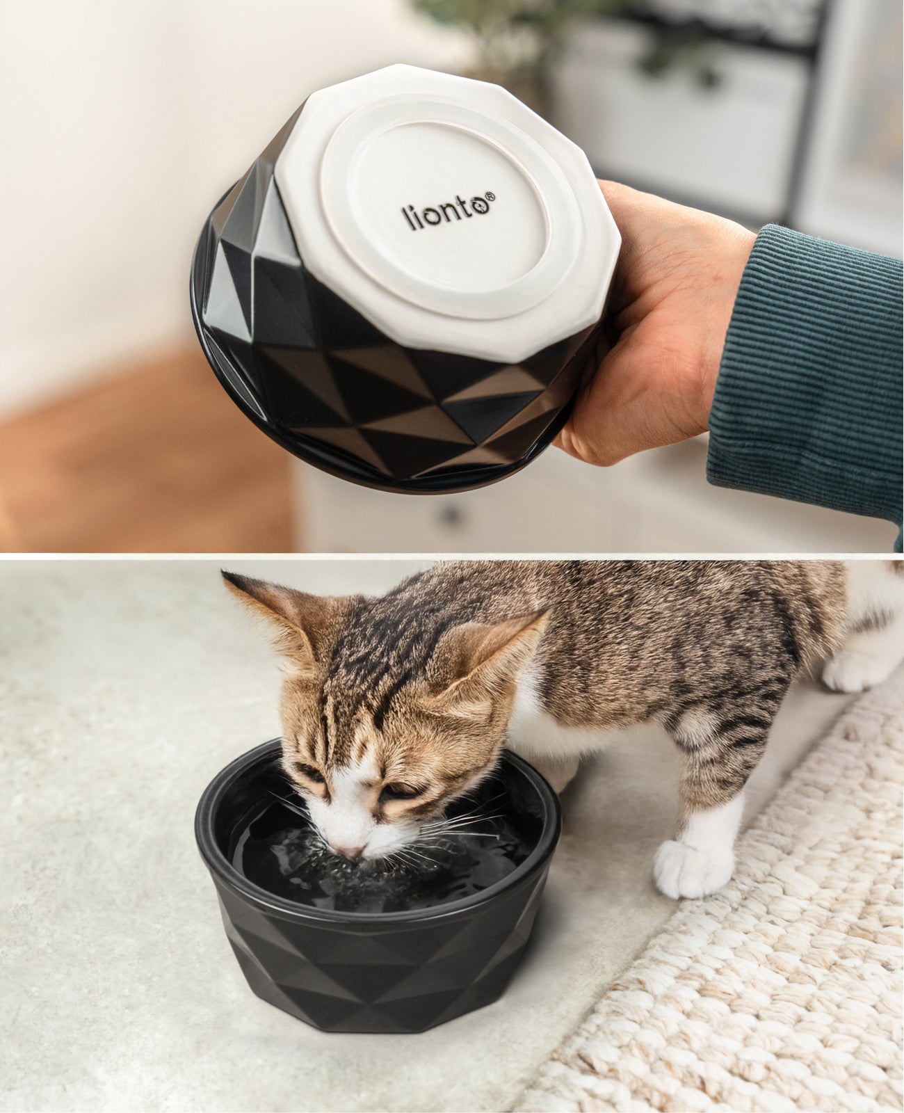 Katzennapf aus Keramik