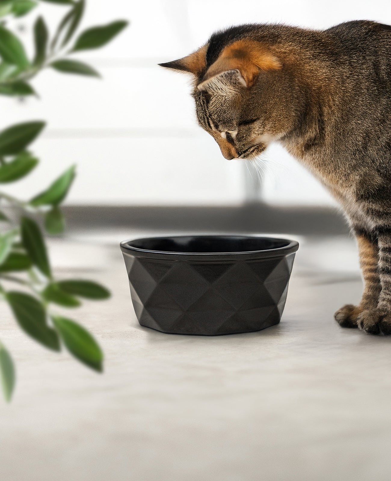 Katzennapf aus Keramik