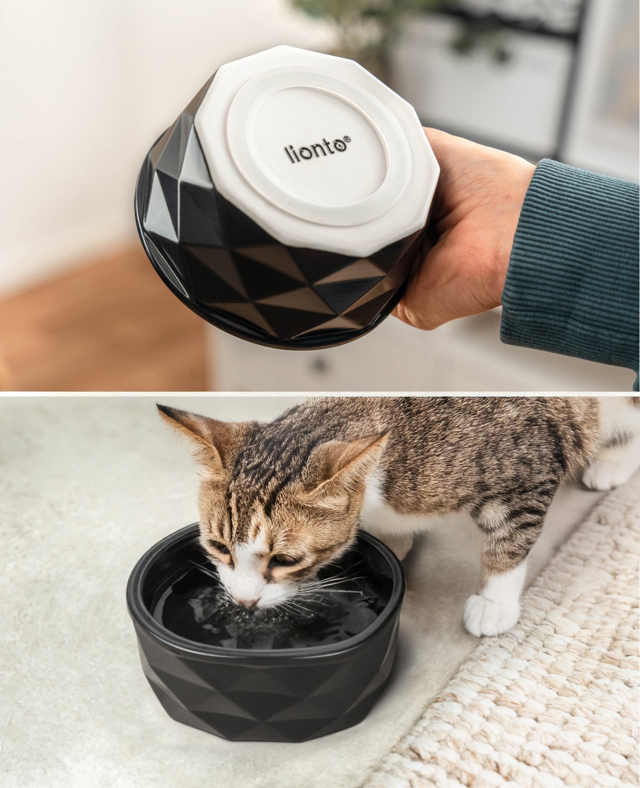 Katzennapf aus Keramik