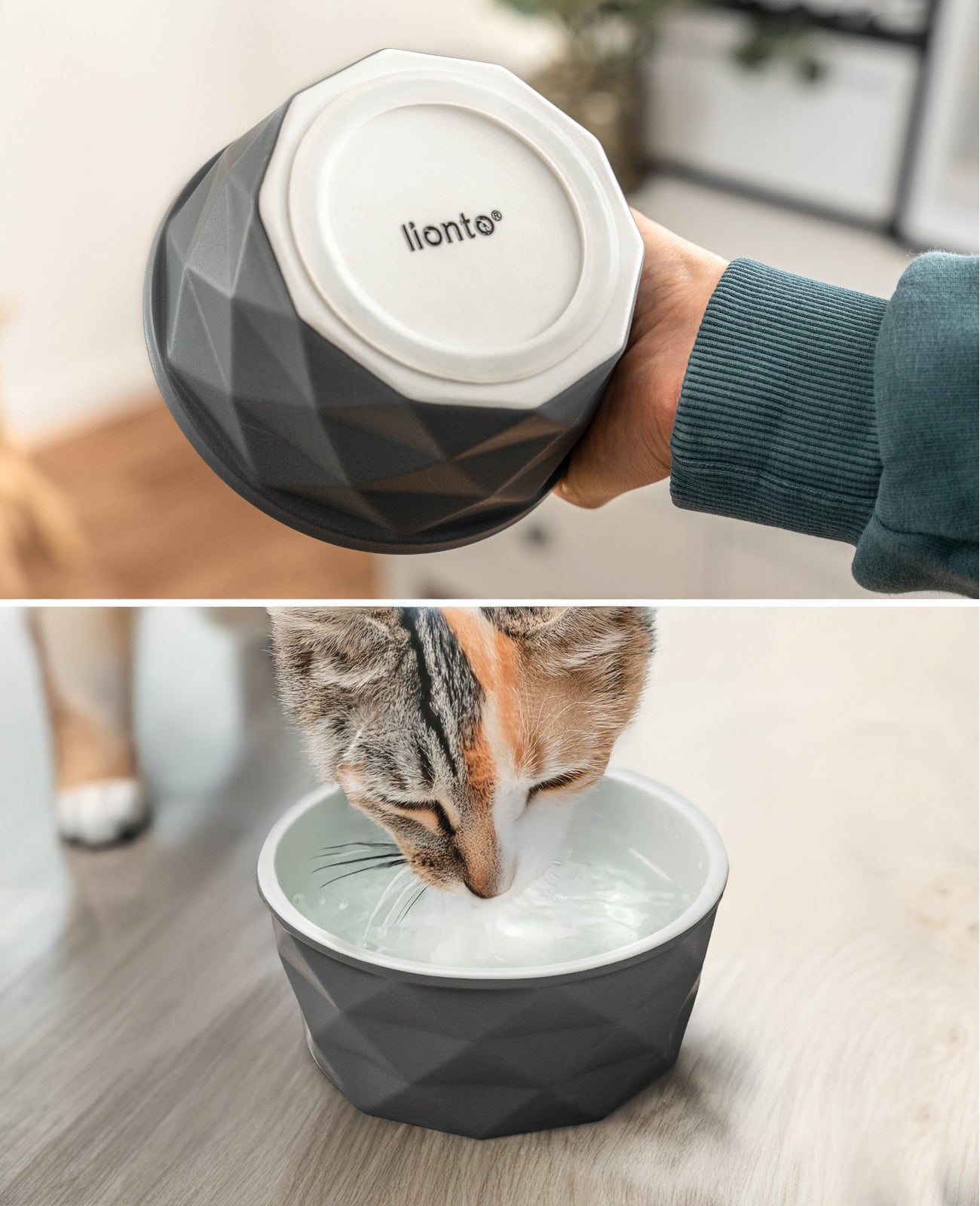 Katzennapf aus Keramik