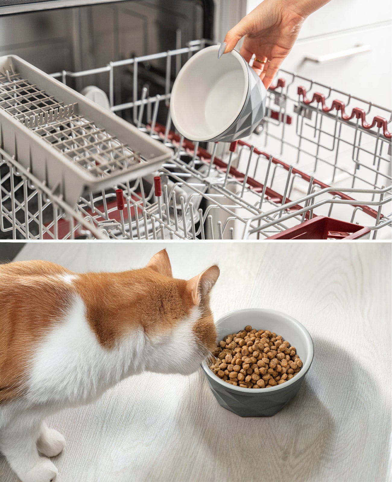 Katzennapf aus Keramik