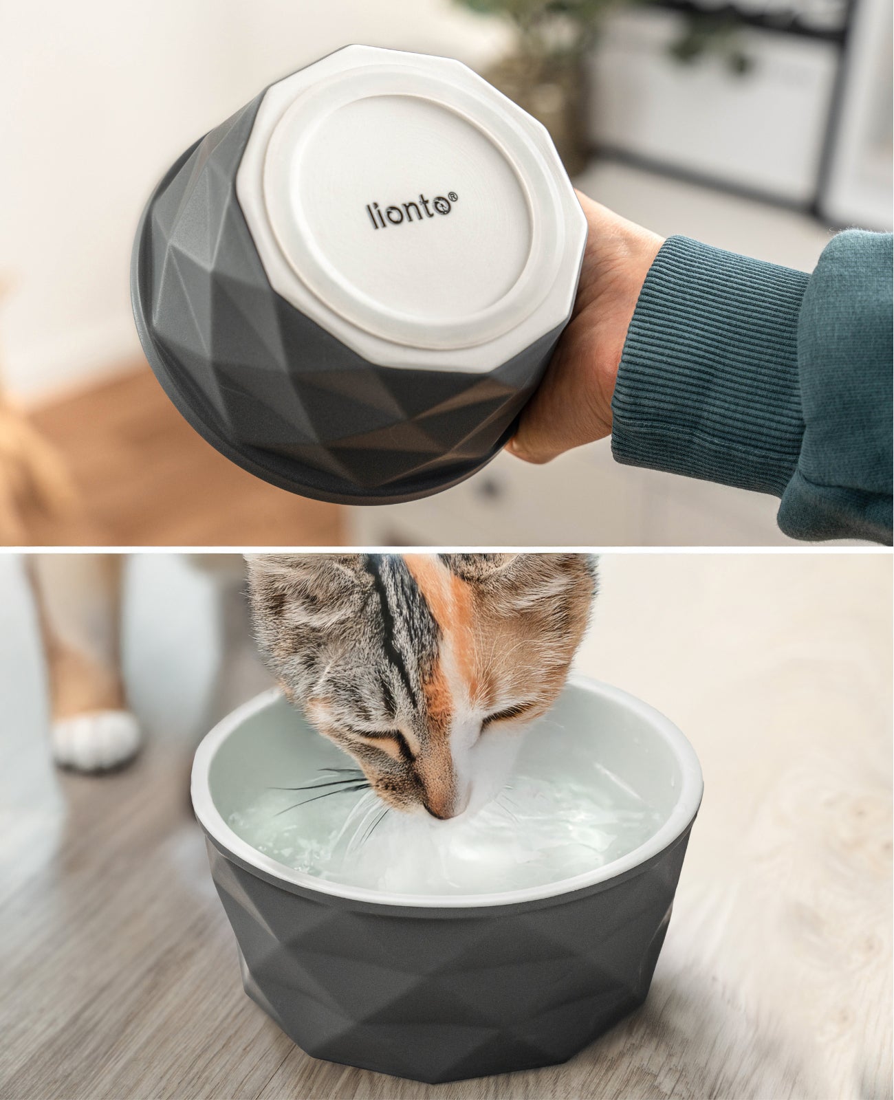 Katzennapf aus Keramik