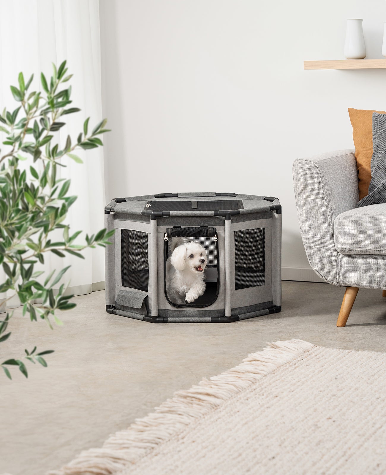 Welpenauslauf mit Rahmen aus PVC-Rohren