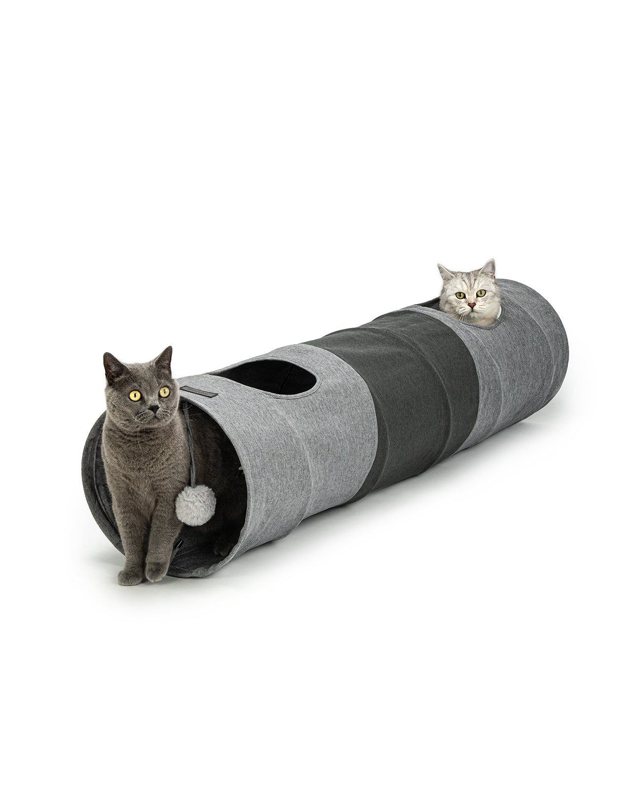 Katzentunnel mit Spielball