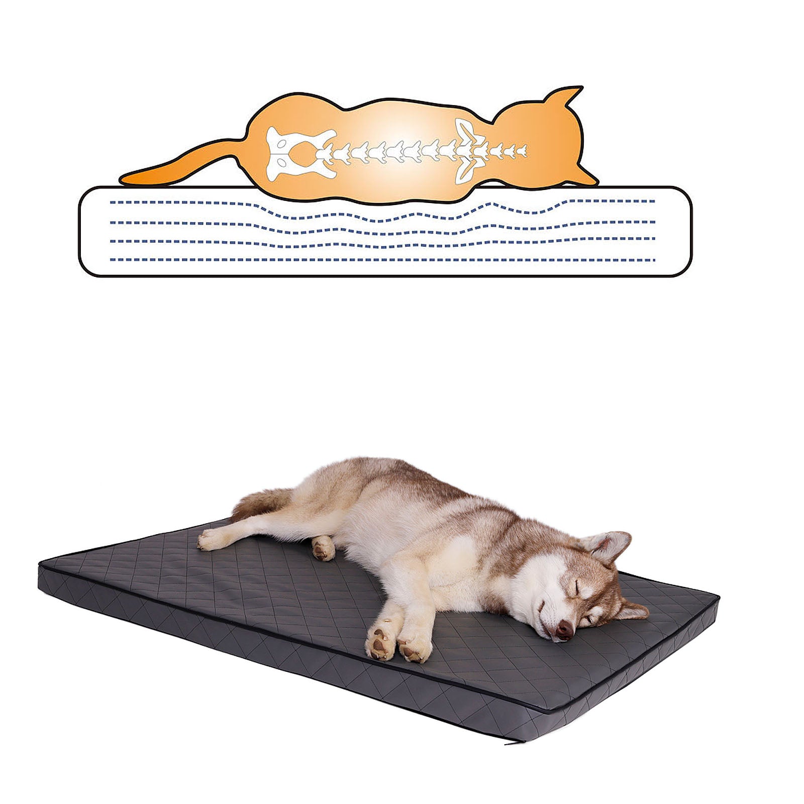Orthopädische Hundematte