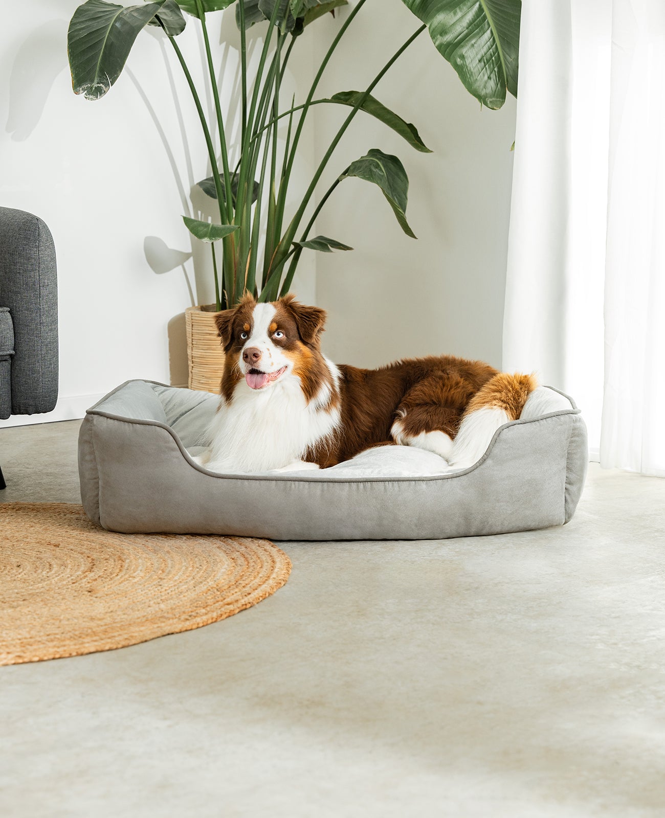2-in-1 Hundebett in Wildlederoptik