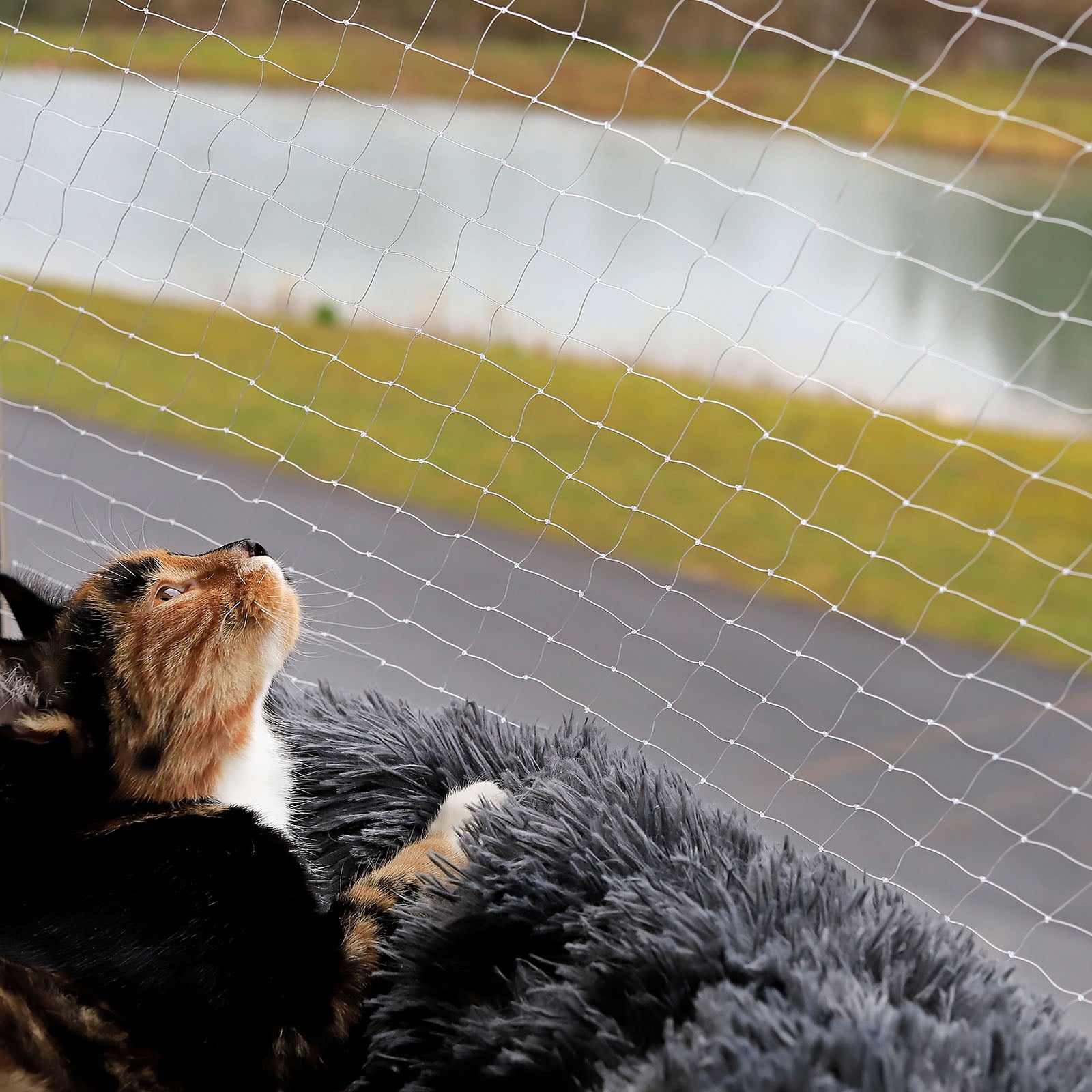 Katzenschutznetz für Balkon & Fenster