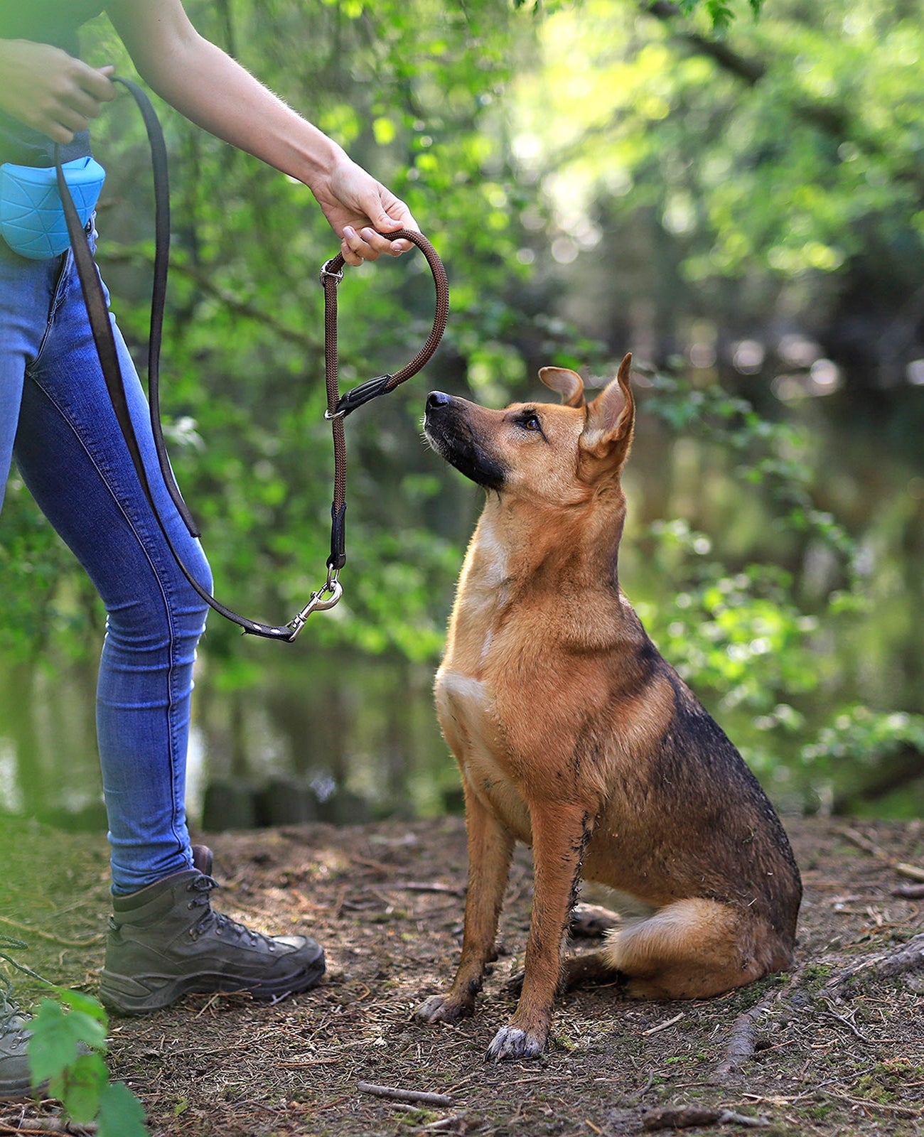 Hundehalsband mit Zugstopp