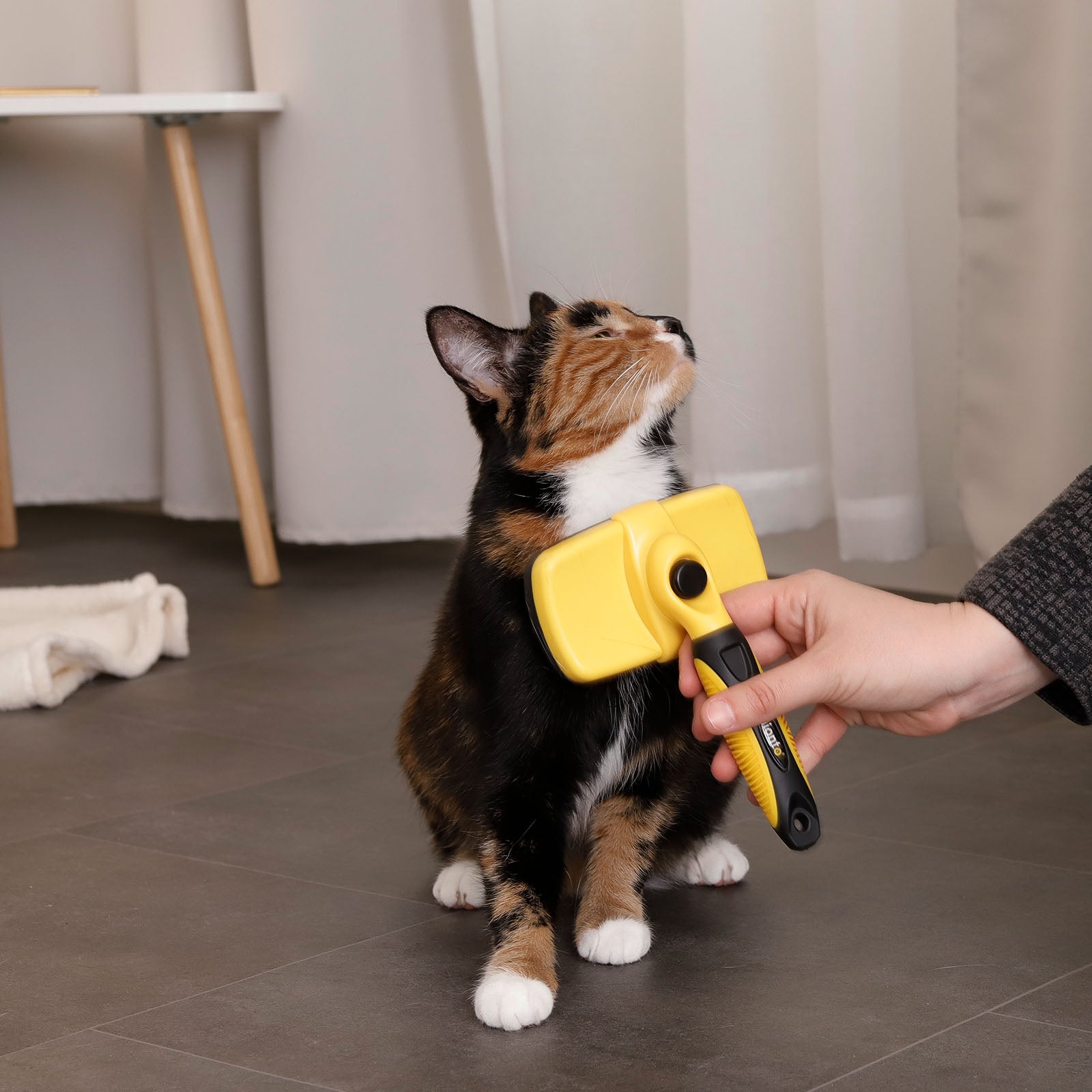 Katzenbürsten zur Fellpflege